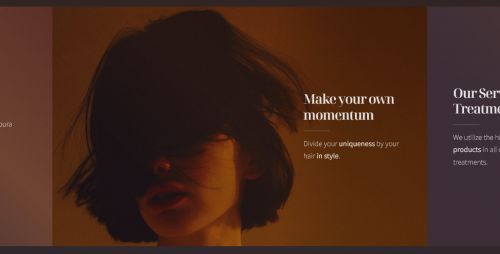 A preview picture of a hair salon website